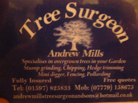Andrew Mills Tree Surgery